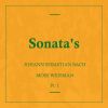 Download track Sonata In A Major, BWV. 1032 II. Largo E Dolce