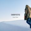 Download track Embryotic