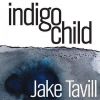 Download track Indigo Child
