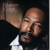 Download track Intro / The Marvin Gaye Orchestra (Live)