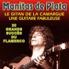 Download track Rumbas Gitanas