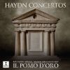 Download track Piano Concerto In D Major. Hob. XVIII, II: II. Un Poco Adagio