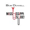 Download track Mississippi Slide!