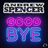 Download track Goodbye (Extended Mix)