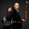 Download track Violin Sonata No. 26 In B-Flat Major, K. 378 I. Allegro Moderato