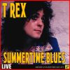 Download track Summertime Blues (Live)