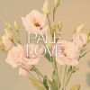 Download track Pale Love