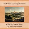 Download track Salzburg Symphony No. 2 In B-Flat Major, K. 137 II. Allegro Di Molto