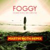 Download track Come Into My Dream (Martin Roth Organic Radio Edit)