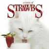 Download track Extravaganza On A Theme Of Strawbs [#]
