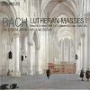 Download track 3. Lutheran Mass BWV 234 - III. Domine Deus