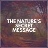 Download track Calm Nature Moments, Pt. 4