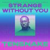 Download track Strange Without You (Sunnery James & Ryan Marciano Remix)