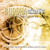 Download track Transpose The World (Buddha Chillout Mix)