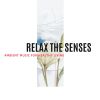 Download track The Essence Of Peace