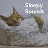 Download track Sleepy Times, Pt. 4