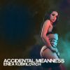 Download track Accidental Meanness
