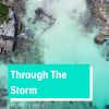 Download track Through The Storm