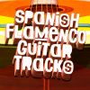 Download track Guitar Twins