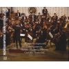 Download track Concerto For Viola, String Orchestra And Kettle-Drums - 1