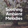 Download track Ambient Melodies For Sleeping, Pt. 15