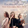 Download track Trio Élégiaque No. 2, Op. 9: II. Quasi Variazione. Andante