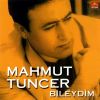 Download track Bileydim