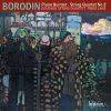 Download track Borodin String Quartet No. 2 In D Major IV. Finale. Andante – Vivace