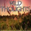 Download track Wild Thoughts - Tribute To DJ Khaled And Rihanna And Bryson Tiller (Instrumental Version)