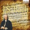 Download track Am Abend Aber Desselbigen Sabbats, BWV 42: I. Sinfonia