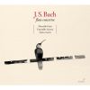Download track 12. Ouverture In B Minor BWV1067 - 6. Menuet
