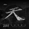 Download track Akuma (Destroyers Remix)