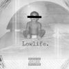 Download track Lowlife