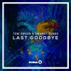 Download track Last Goodbye (Original Mix)