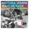 Download track Want Me Back (Jimpster Peak Time Deepness)