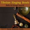 Download track Buddha's Bowl