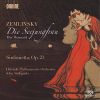 Download track Sinfonietta, Op. 23: II. Ballade (Arr. For Chamber Orchestra)