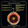 Download track 12. Symphony No. 8 In G Evening - Presto: The Storm