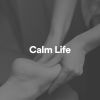 Download track Calm Life, Pt. 4