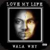 Download track Love My Life