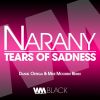 Download track Tears Of Sadness (Daniel Ortega & Mike Moorish Remix)