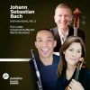 Download track 13 - Sinfonia No. 11 In G Minor, BWV 797 (Arr. E. Lamb For Flute, Viola And Cello)
