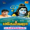 Download track Om Sivaya Namaha