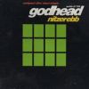 Download track Godhead (LP Version)
