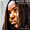Download track Good Life (Everybody Wants It) (Single Version)