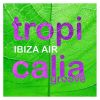 Download track Tropicalia Groove (Extended Mix)