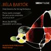 Download track Divertimento For String Orchestra BB 118 Sz. 113 - II. Molto Adagio