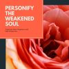 Download track Beauty From Soul