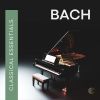 Download track J. S. Bach: Prelude, Fugue And Allegro In E-Flat Major, BWV 998: Prelude (Arr. D. Russell)