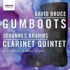 Download track 5. David Bruce: Gumboots - Dance IV